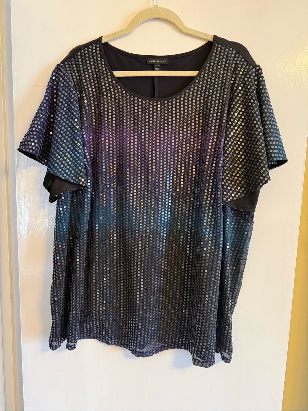 Lane Bryant Sequin Blouse 22/24 EUC